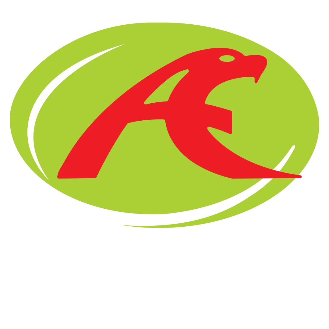 logo to use icon